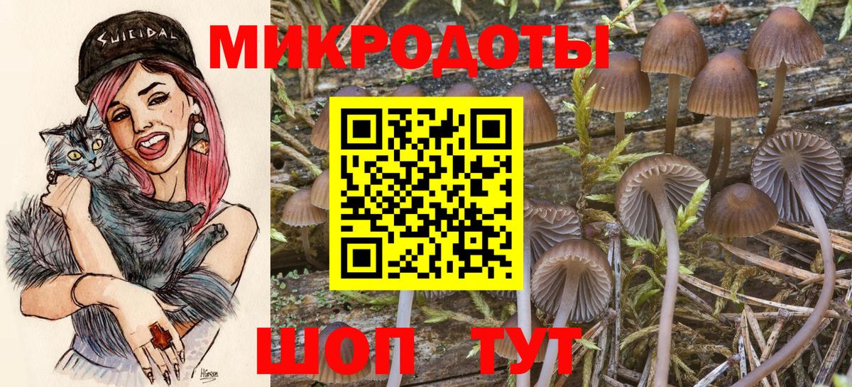 Псилоцибиновые грибы GOLDEN TEACHER  Вход с VPN  Гуково  Псилоцибиновые грибы ЛСД 